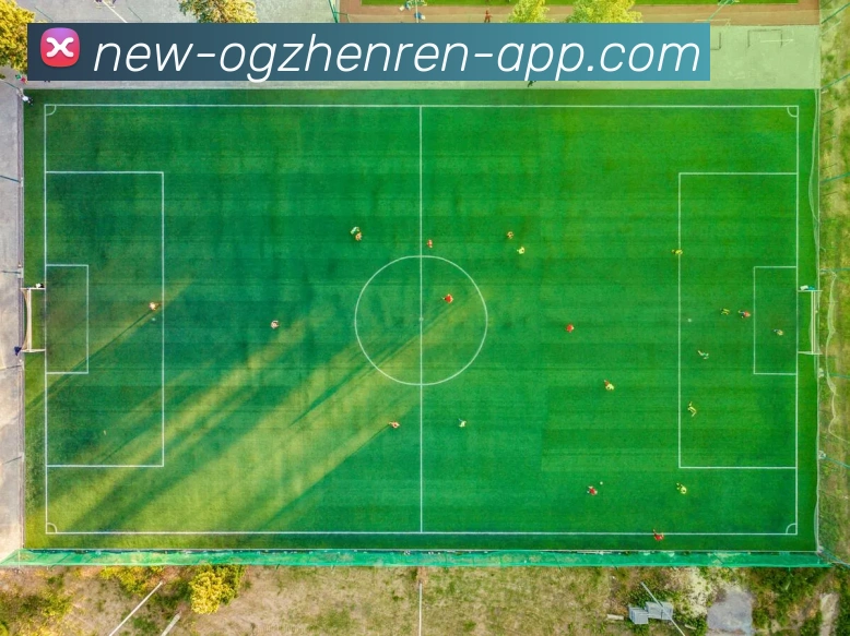 OG真人APP 高清赛事图